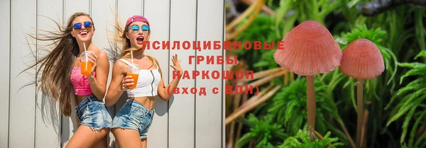 амф Баксан