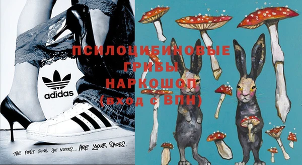 бошки Беломорск