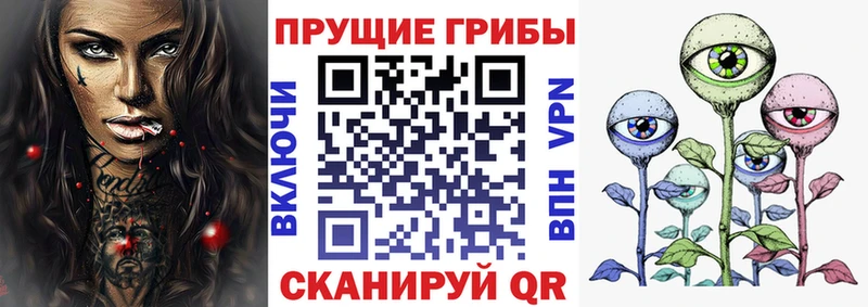 blacksprut сайт  Дорогобуж  Псилоцибиновые грибы прущие грибы 